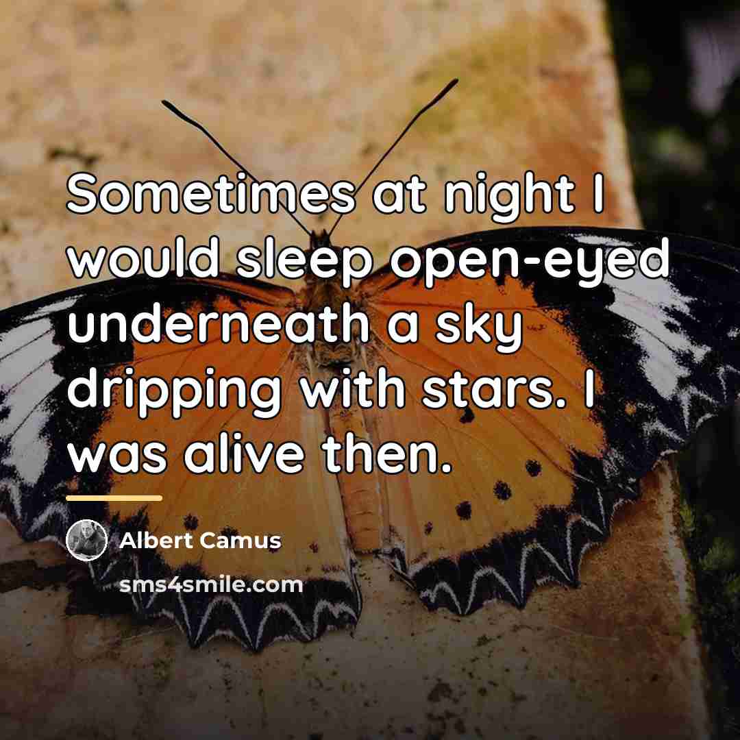 “Sometimes at night I would sleep open-eyed underneath a sky…” quote by Albert Camus