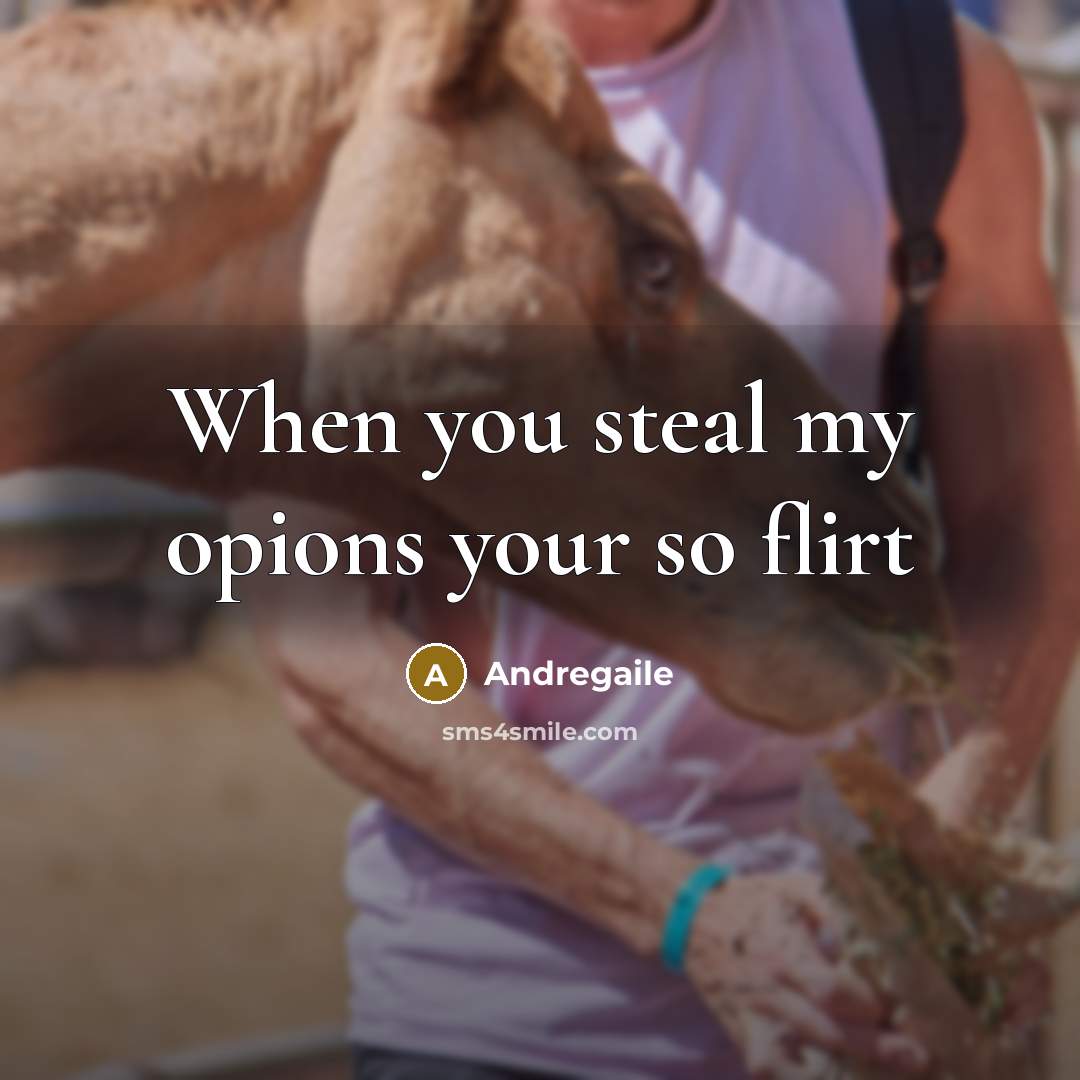 “When you steal my opions your so flirt” quote by Andregaile