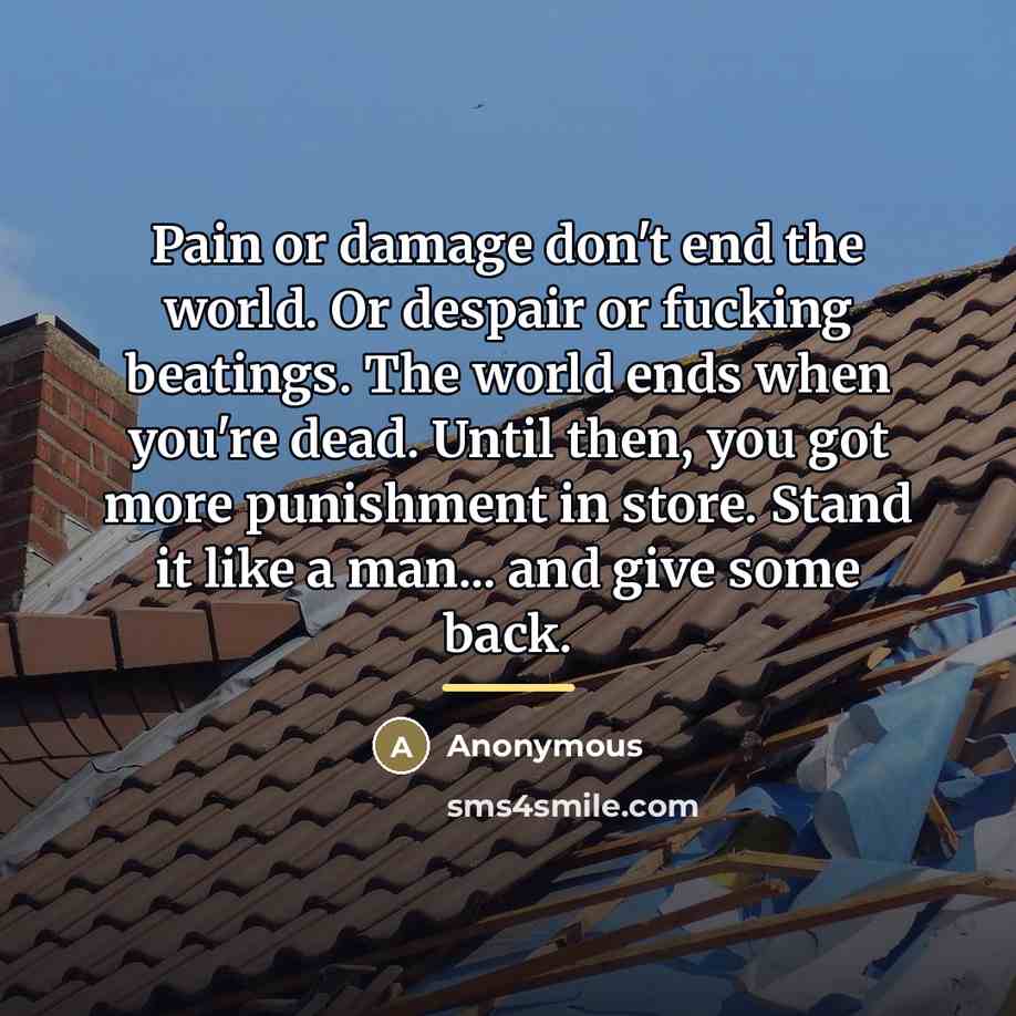 “Pain or damage don't end the world. Or despair or…” quote by Anonymous