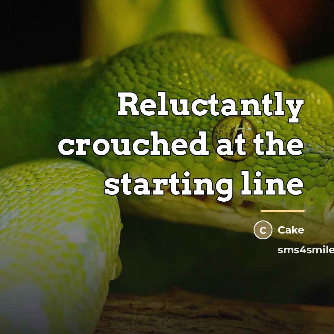 “Reluctantly crouched at the starting line…” quote by Cake