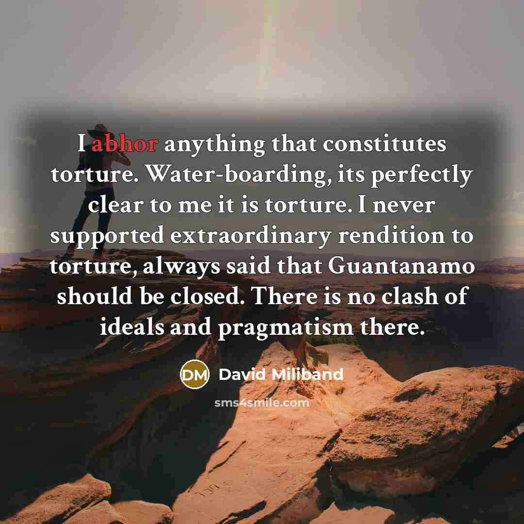 “I abhor anything that constitutes torture. Water-boarding, its perfectly clear…” quote by David Miliband