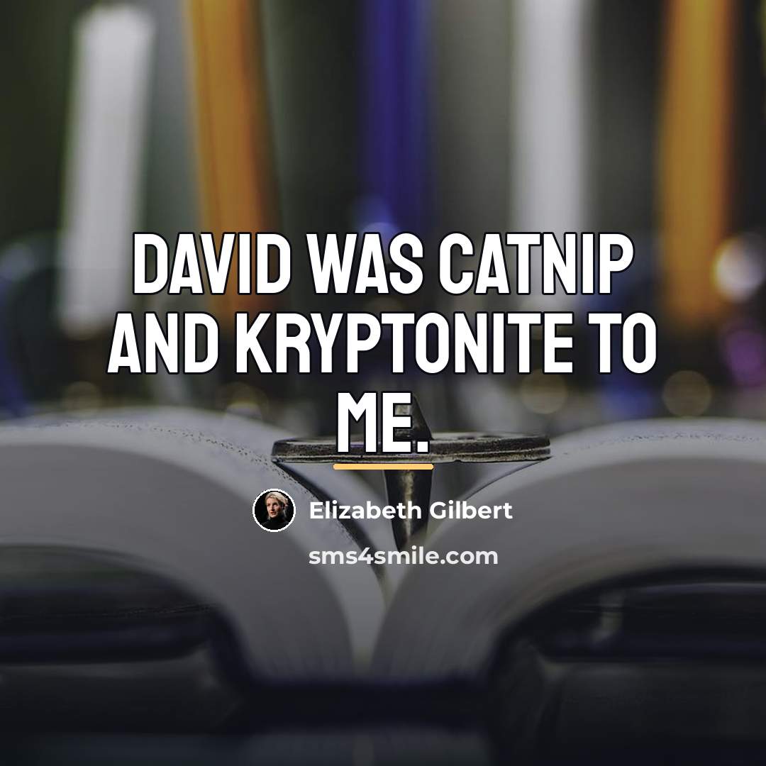 “David was catnip and kryptonite to me.…” quote by Elizabeth Gilbert