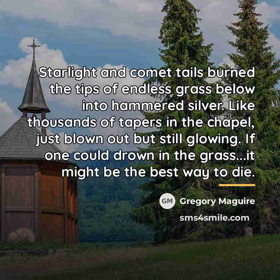 “Starlight and comet tails burned the tips of endless grass…” quote by Gregory Maguire