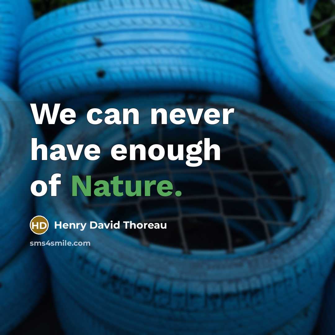 “We can never have enough of Nature.…” quote by Henry David Thoreau