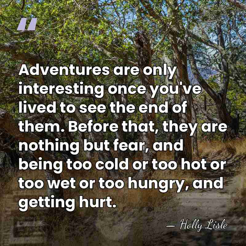 Adventures are only interesting once you've lived to see the end of&hellip; - Holly Lisle