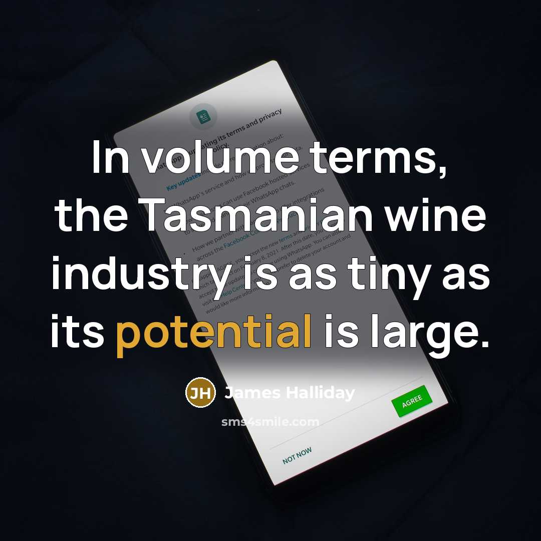 “In volume terms, the Tasmanian wine industry is as tiny as its potential is large.” quote by James Halliday