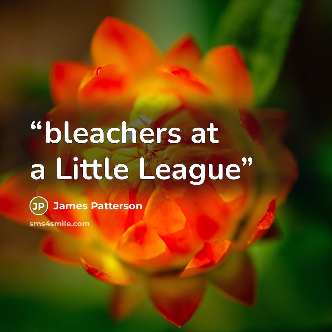 “bleachers at a Little League” quote by James Patterson