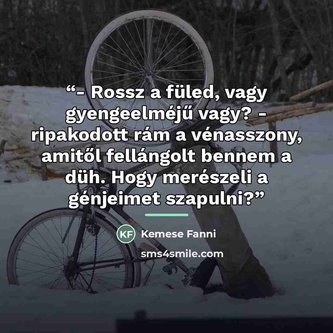 “- Rossz a füled, vagy gyengeelméjű vagy? - ripakodott rám a vénasszony, amitől fellángolt bennem a düh. Hogy merészeli a génjeimet szapulni?” quote by Anonymous