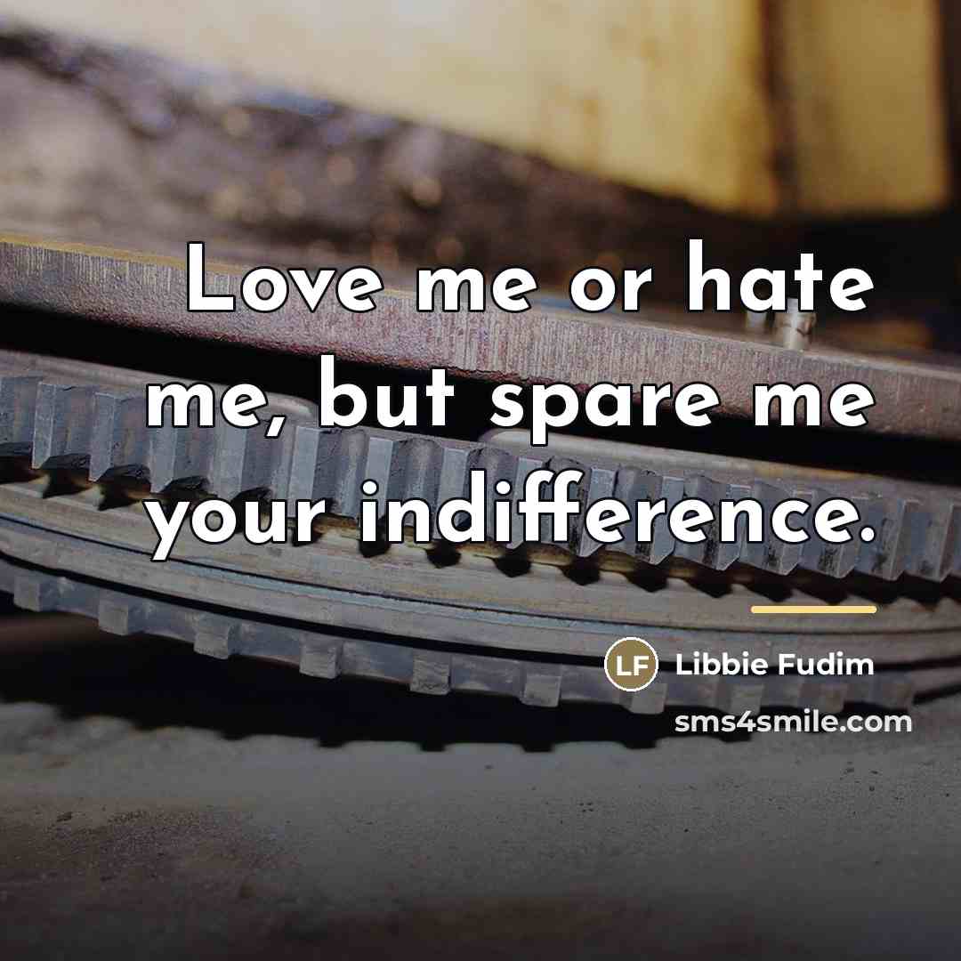 “Love me or hate me, but spare me your indifference.…” quote by Libbie Fudim