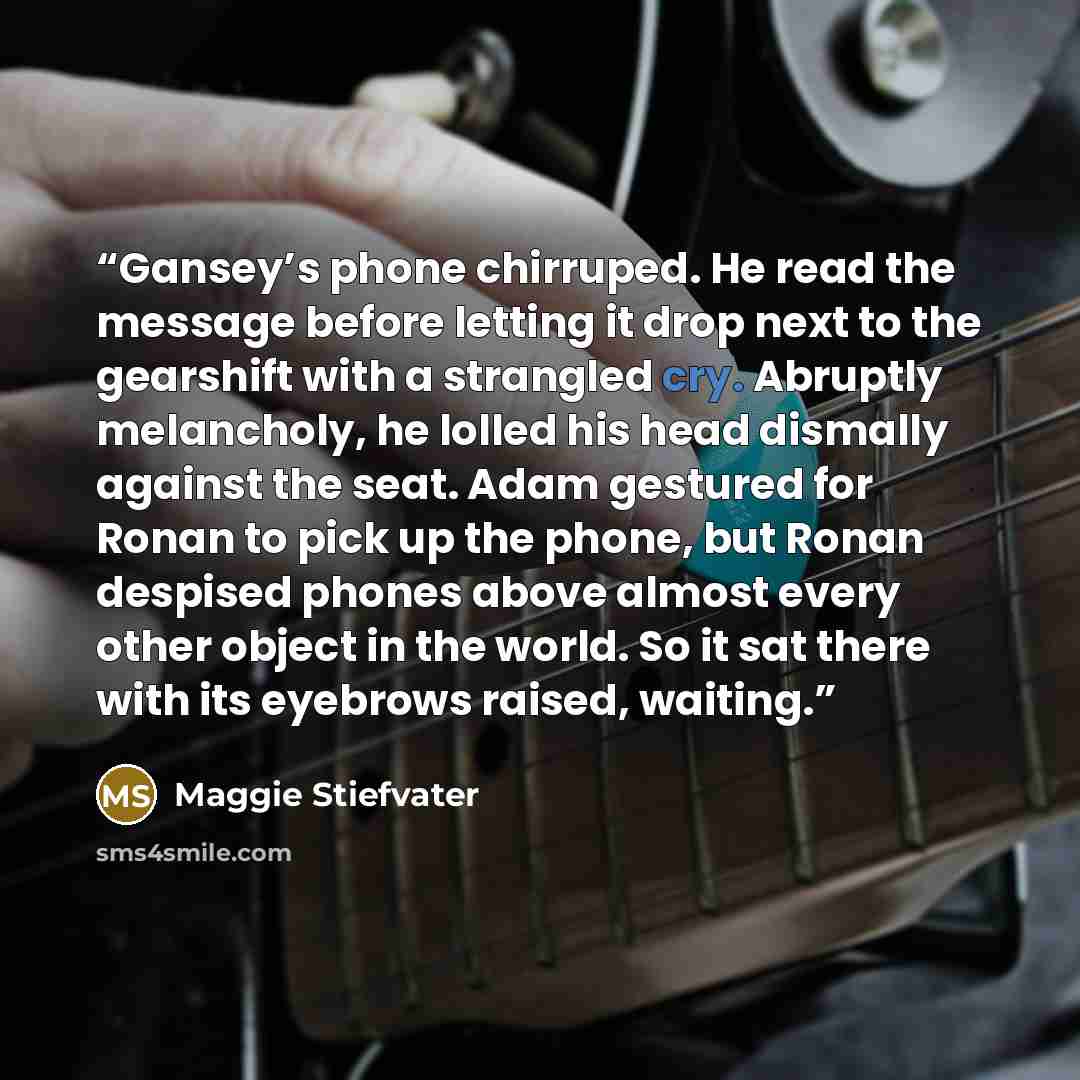“Gansey’s phone chirruped. He read the message before letting it drop next to the gearshift with a strangled cry. Abruptly melancholy, he lolled his head dismally against the seat. Adam gestured for Ronan to pick up the phone, but Ronan despised phones above almost every other object in the world…” quote by Maggie Stiefvater