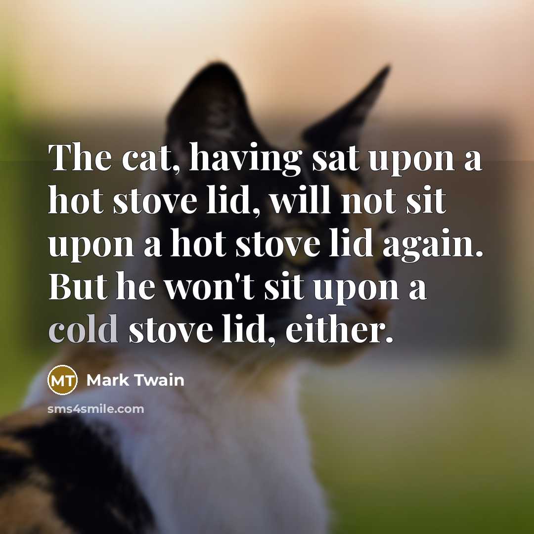 “The cat, having sat upon a hot stove lid, will…” quote by Mark Twain