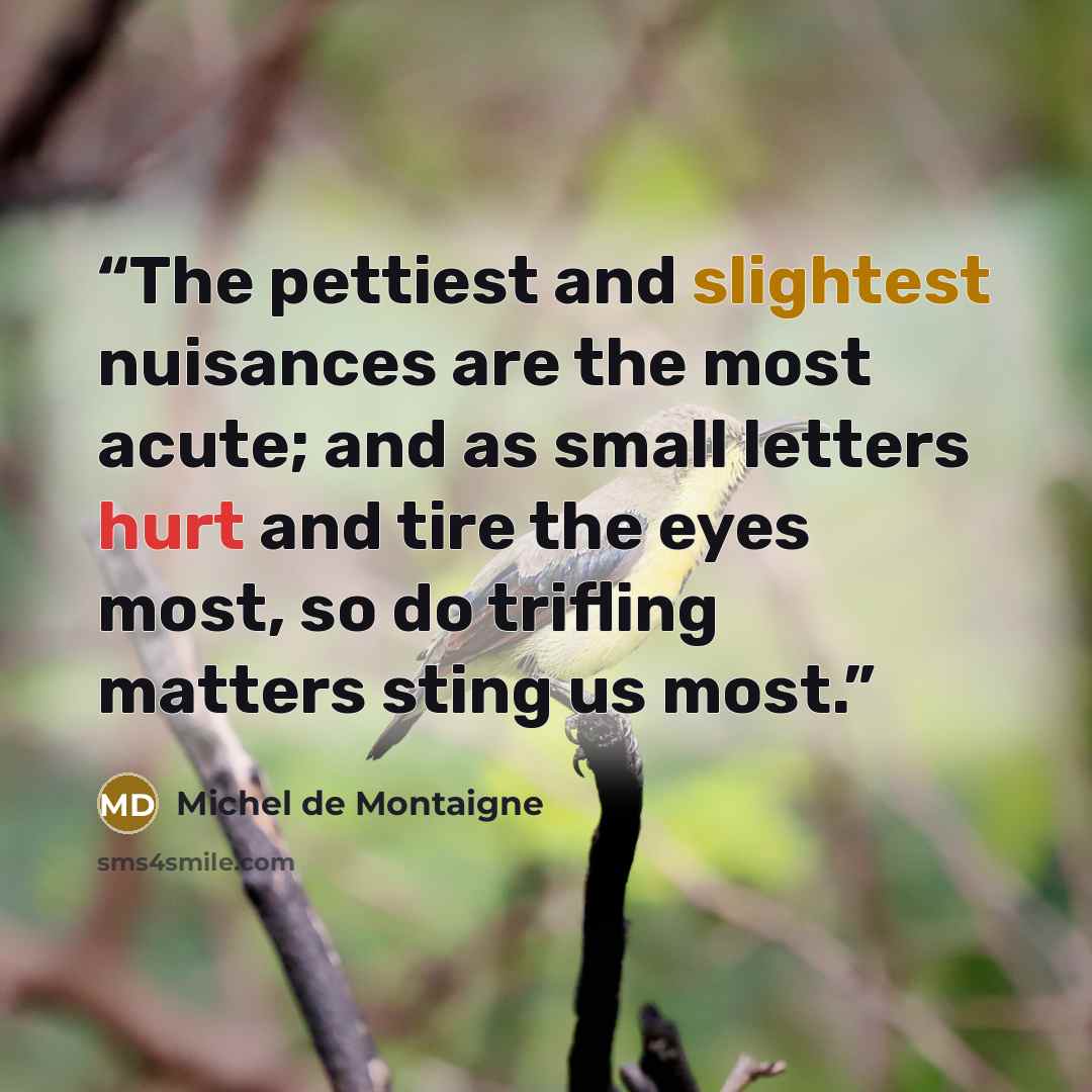 “The pettiest and slightest nuisances are the most acute; and as small letters hurt and tire the eyes most, so do trifling matters sting us most.” quote by Michel de Montaigne