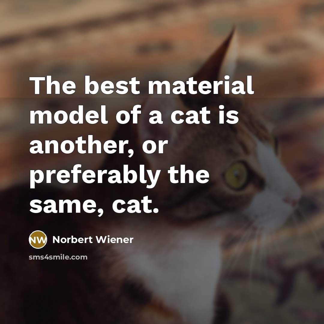 “The best material model of a cat is another, or…” quote by Norbert Wiener