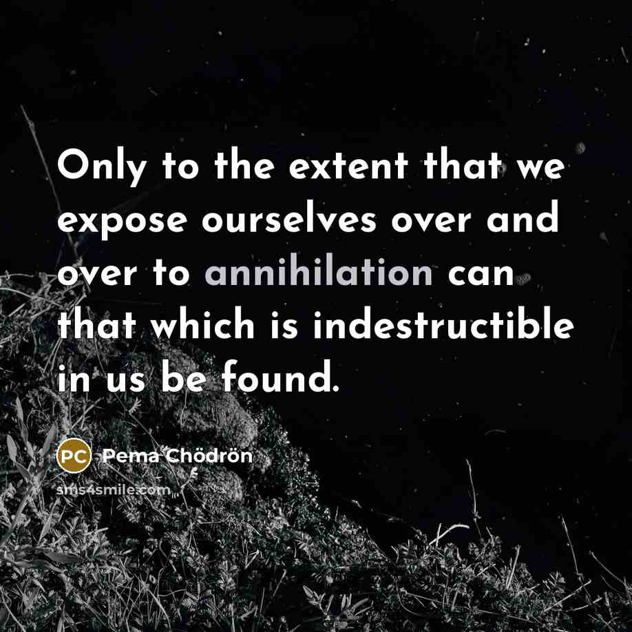 “Only to the extent that we expose ourselves over and…” quote by Pema Chodron