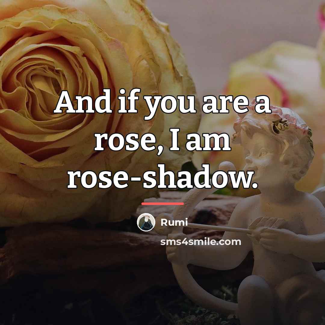 “And if you are a rose, I am rose-shadow.…” quote by Rumi