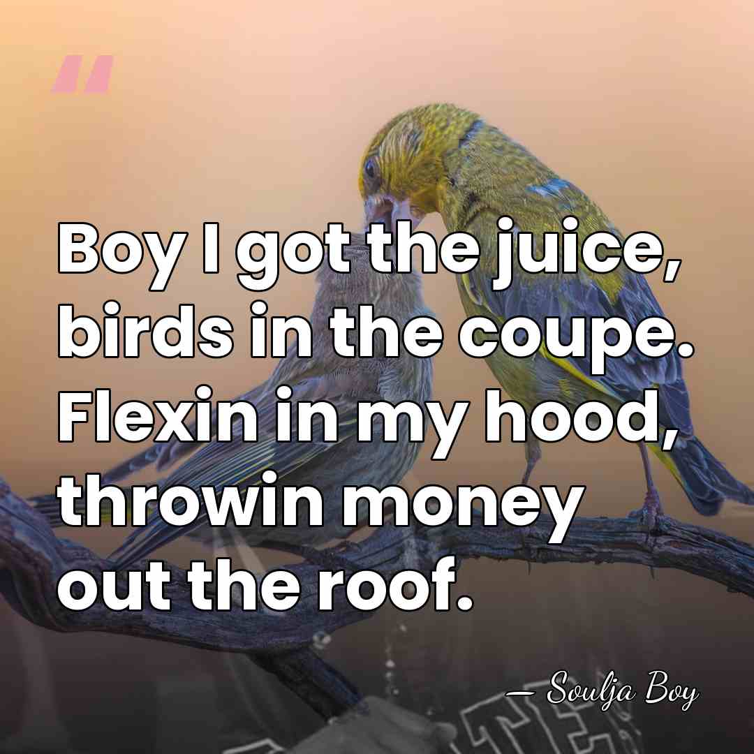 Boy I got the juice, birds in the coupe. Flexin in my&hellip; - Soulja Boy
