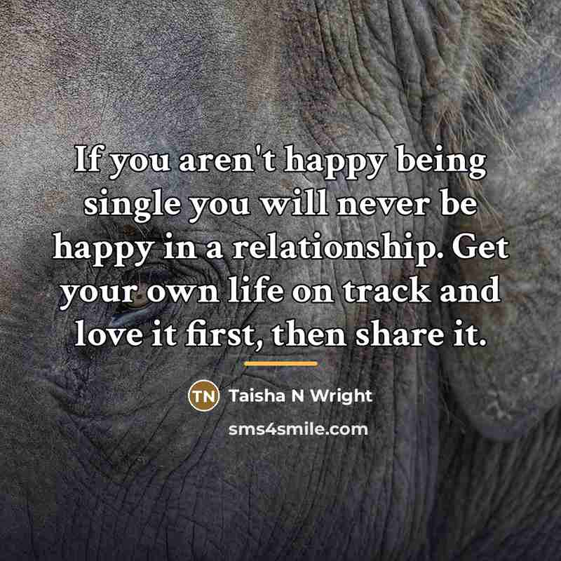 “If you aren't happy being single you will never be…” quote by Taisha N Wright