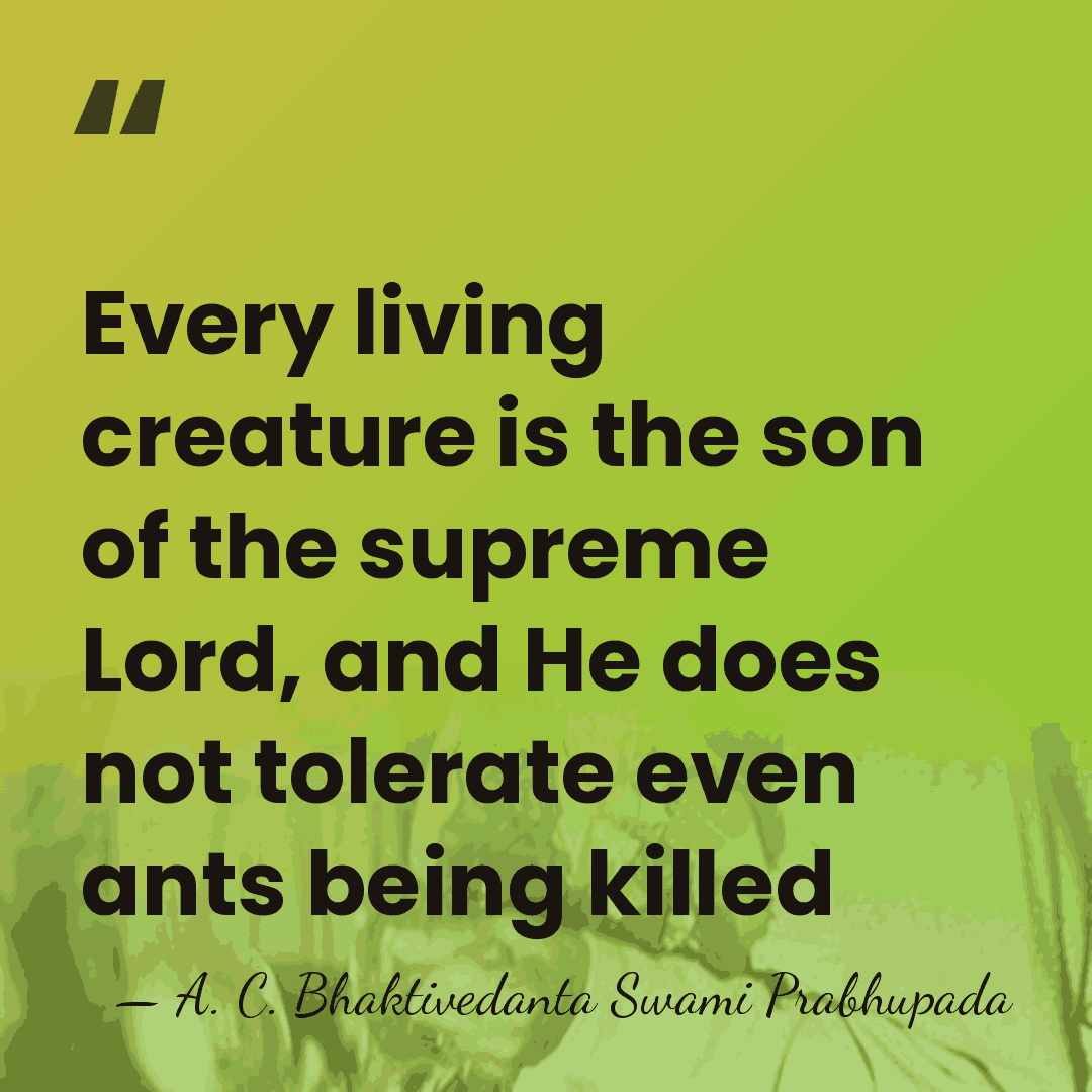 Every living creature is the son of the supreme Lord, and He&hellip; - A. C. Bhaktivedanta Swami Prabhupada