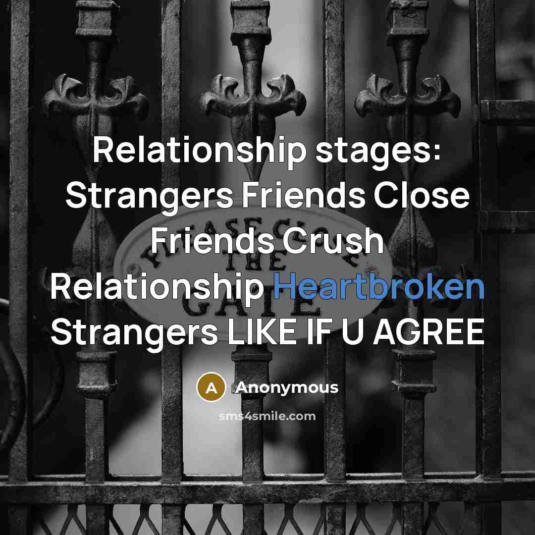 “Relationship stages: Strangers Friends Close Friends Crush Relationship Heartbroken Strangers…” quote by Anonymous