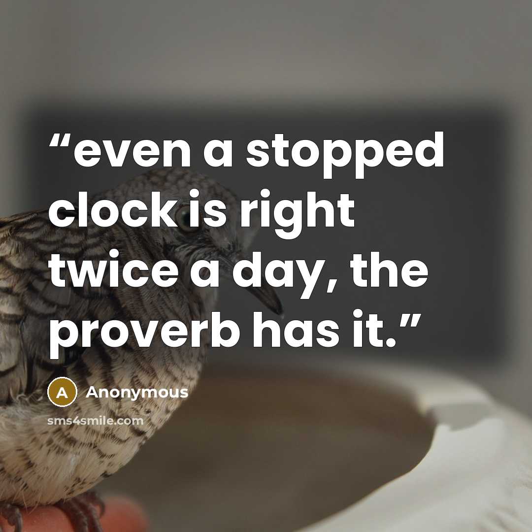 “even a stopped clock is right twice a day, the proverb has it.” quote by Anonymous