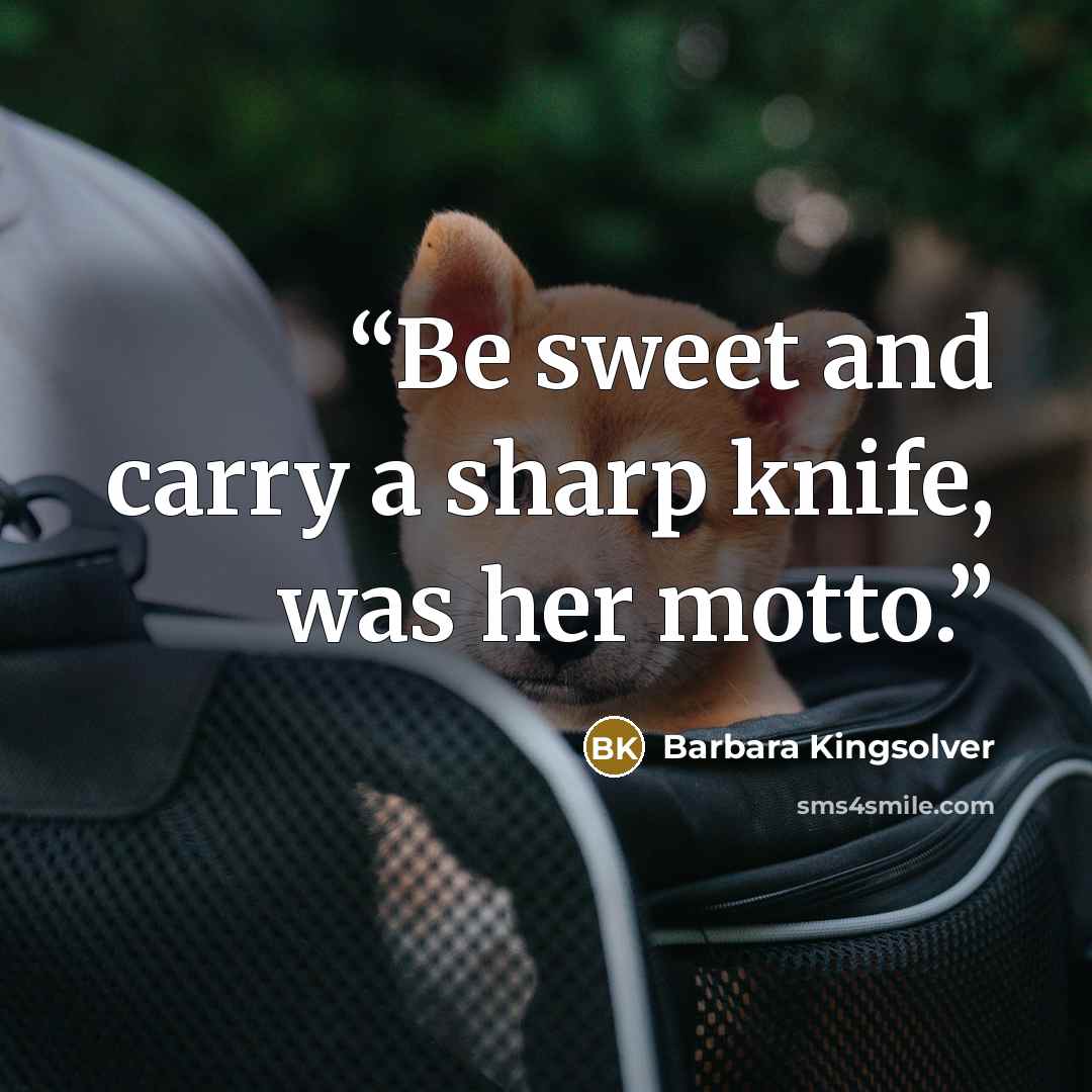“Be sweet and carry a sharp knife, was her motto.” quote by Barbara Kingsolver