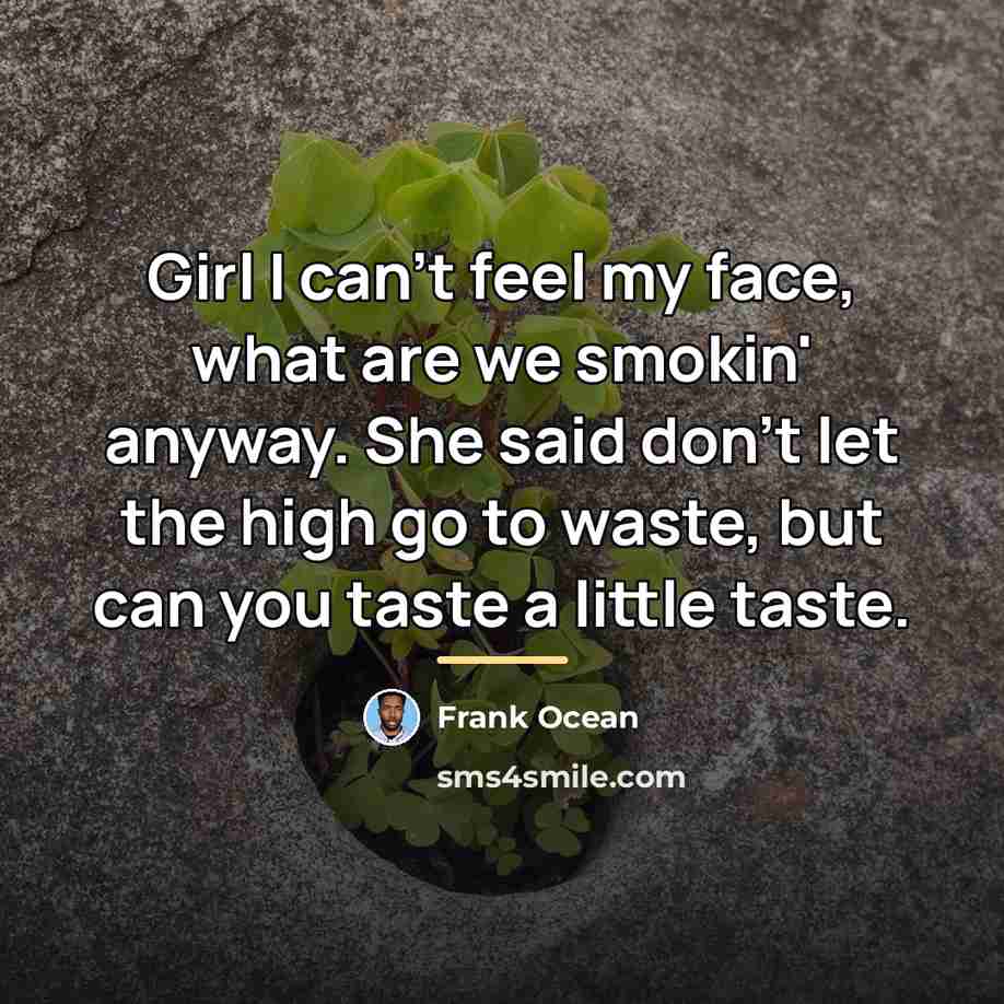 “Girl I can't feel my face, what are we smokin'…” quote by Frank Ocean