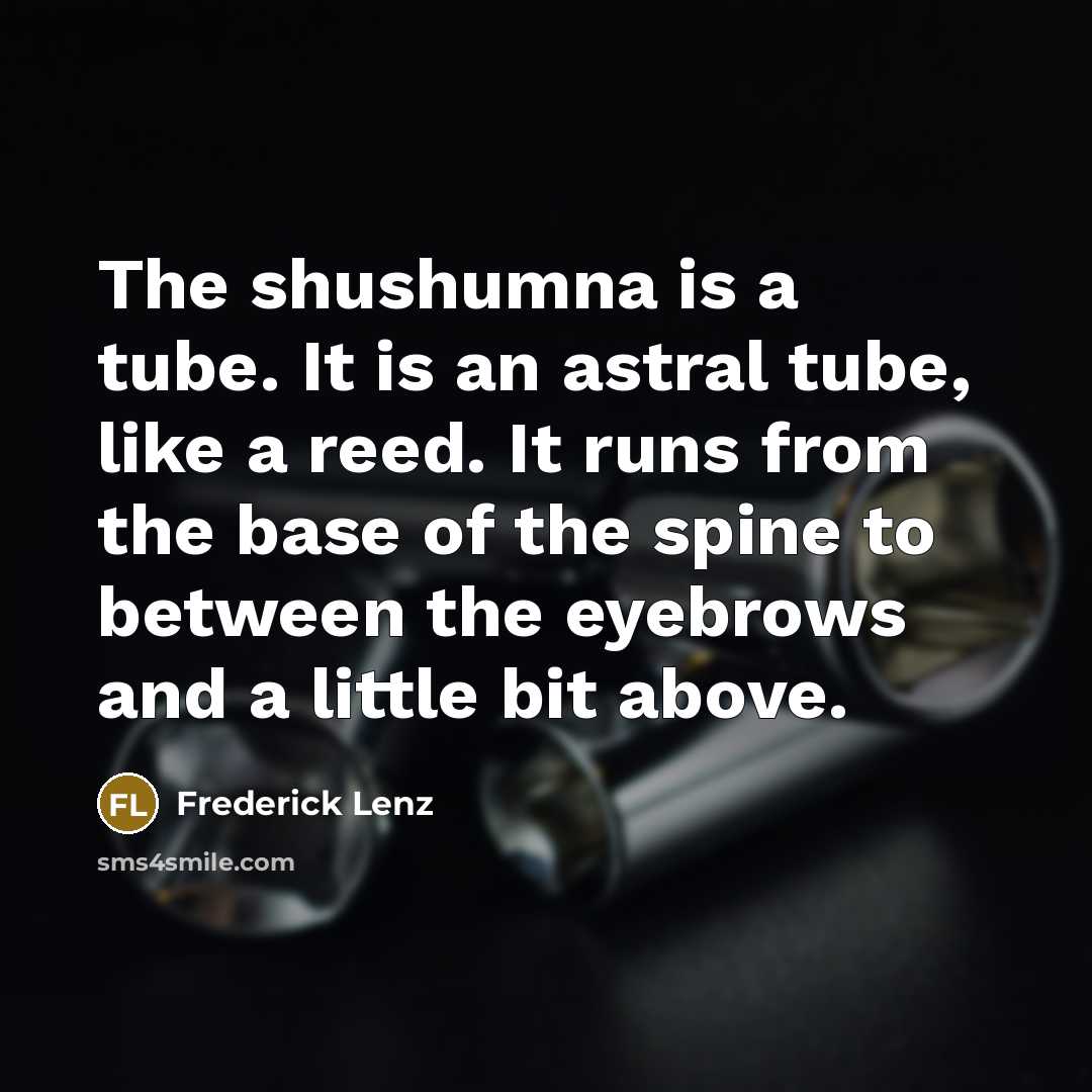 “The shushumna is a tube. It is an astral tube,…” quote by Frederick Lenz