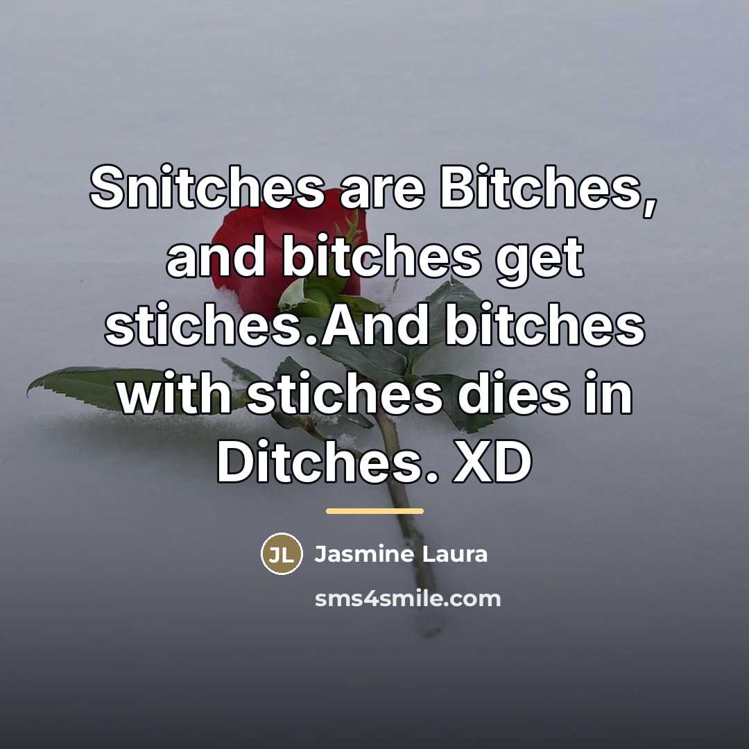 “Snitches are Bitches, and bitches get stiches.And bitches with stiches…” quote by Jasmine Laura