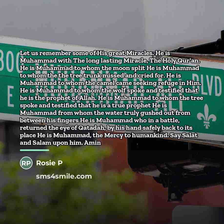 “Let us remember some of His great Miracles. He is…” quote by Rosie P