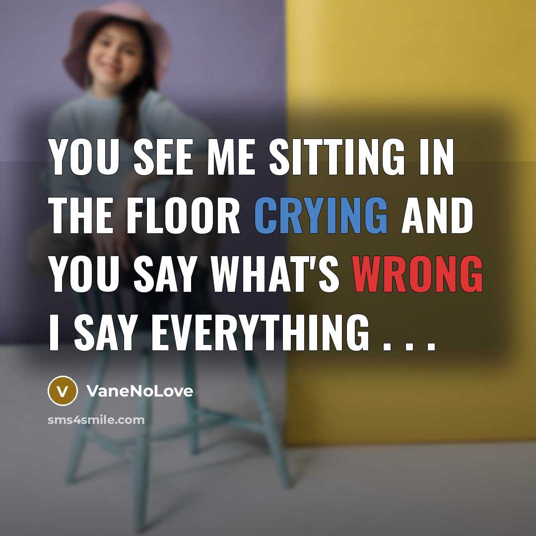 “You See Me Sitting In The Floor Crying And You Say What's Wrong I Say Everything . . .” quote by VaneNoLove