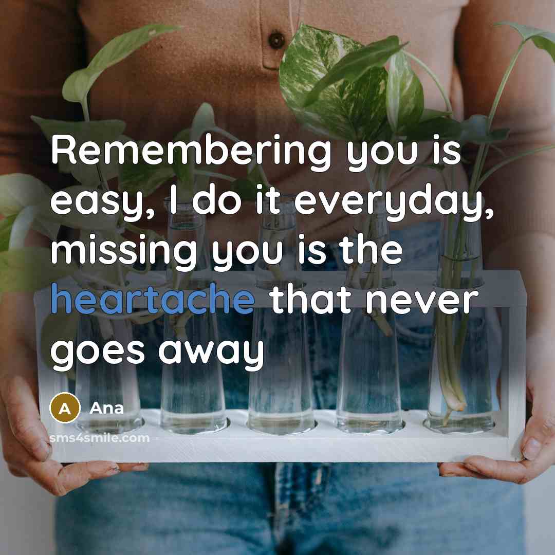 “Remembering you is easy, I do it everyday, missing you is the heartache that never goes away” quote by Ana