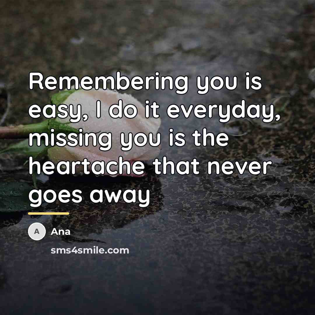“Remembering you is easy, I do it everyday, missing you…” quote by Ana