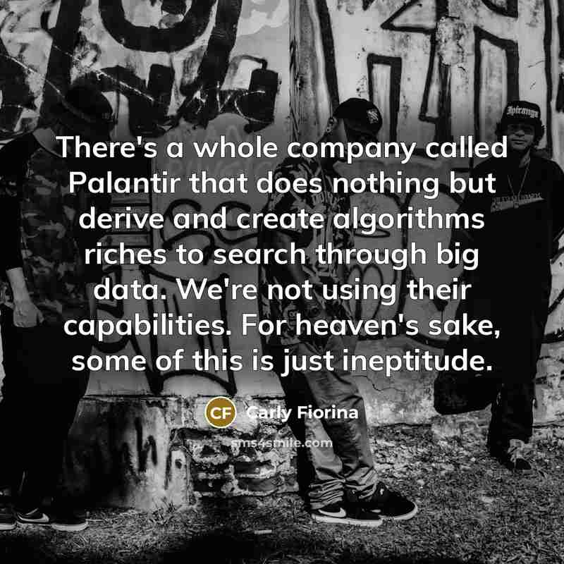 “There's a whole company called Palantir that does nothing but…” quote by Carly Fiorina