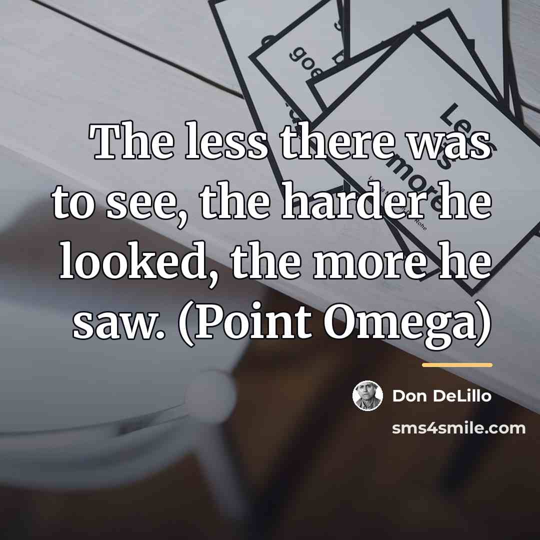 “The less there was to see, the harder he looked,…” quote by Don DeLillo