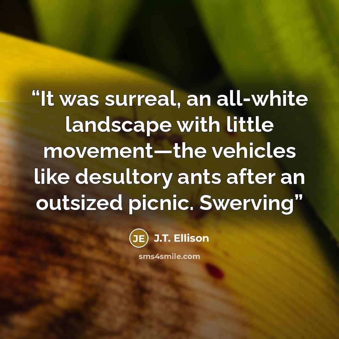 “It was surreal, an all-white landscape with little movement—the vehicles like desultory ants after an outsized picnic. Swerving” quote by J.T. Ellison