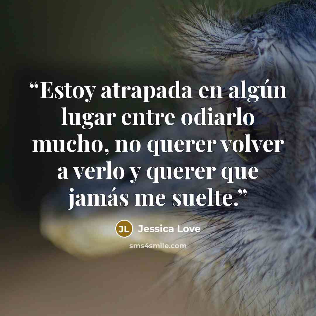 “Estoy atrapada en algún lugar entre odiarlo mucho, no querer volver a verlo y querer que jamás me suelte.” quote by Jessica Love