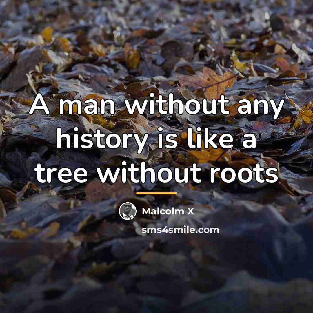 “A man without any history is like a tree without…” quote by Malcolm X