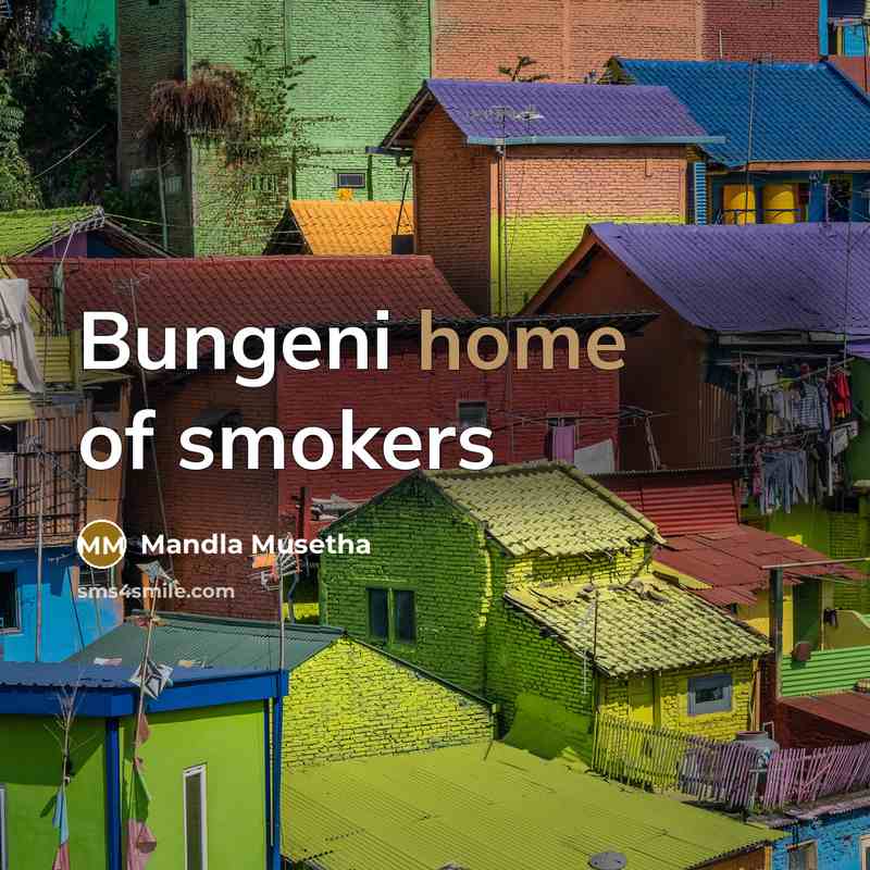 “Bungeni home of smokers…” quote by Mandla Musetha