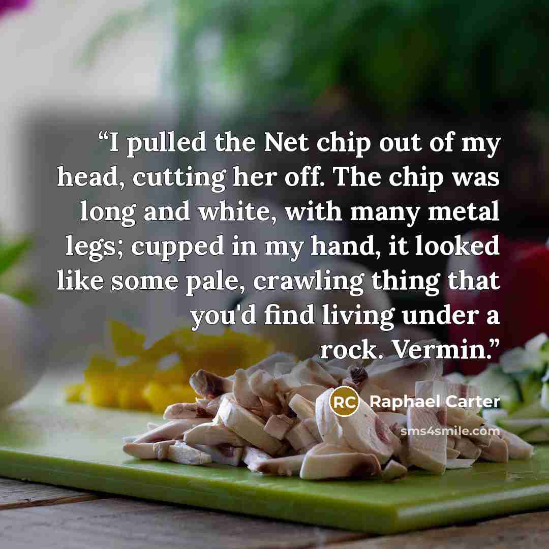 “I pulled the Net chip out of my head, cutting her off. The chip was long and white, with many metal legs; cupped in my hand, it looked like some pale, crawling thing that you'd find living under a rock. Vermin.” quote by Raphael Carter