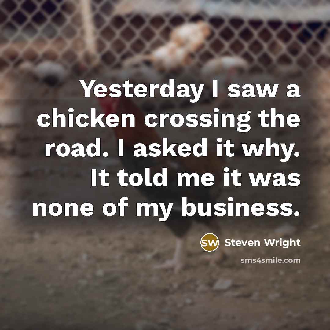 “Yesterday I saw a chicken crossing the road. I asked…” quote by Steven Wright