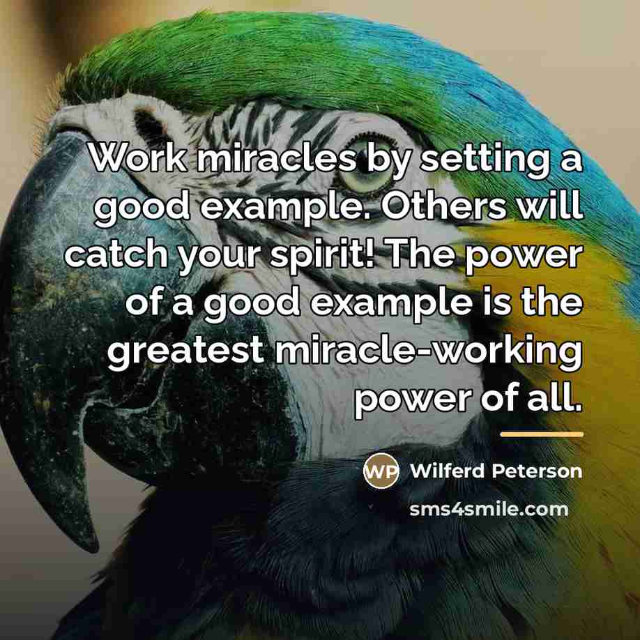 “Work miracles by setting a good example. Others will catch…” quote by Wilferd Peterson
