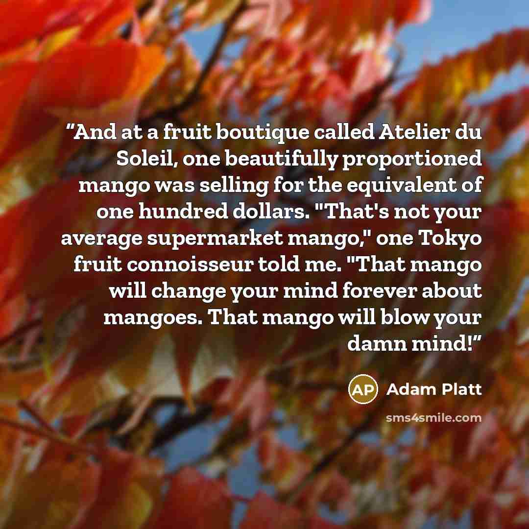 “And at a fruit boutique called Atelier du Soleil, one beautifully proportioned mango was selling for the equivalent of one hundred dollars. "That's not your average supermarket mango," one Tokyo fruit connoisseur told me. "That mango will change your mind forever about mangoes. That mango will…” quote by Adam Platt