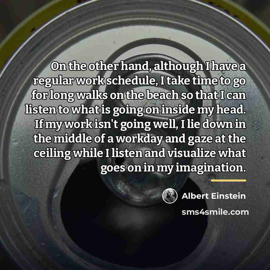 “On the other hand, although I have a regular work…” quote by Albert Einstein
