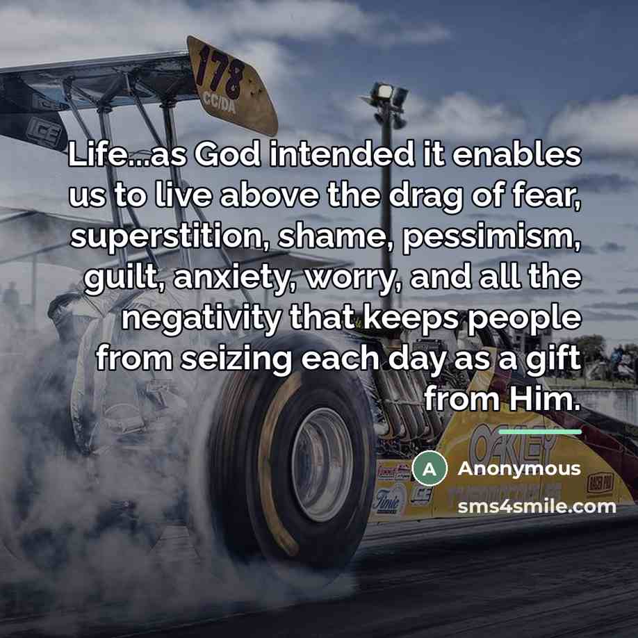 “Life...as God intended it enables us to live above the…” quote by Anonymous