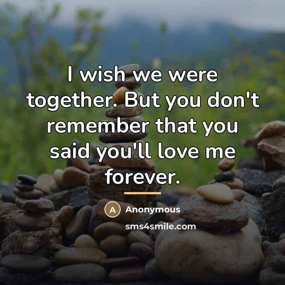 “I wish we were together. But you don't remember that…” quote by Anonymous