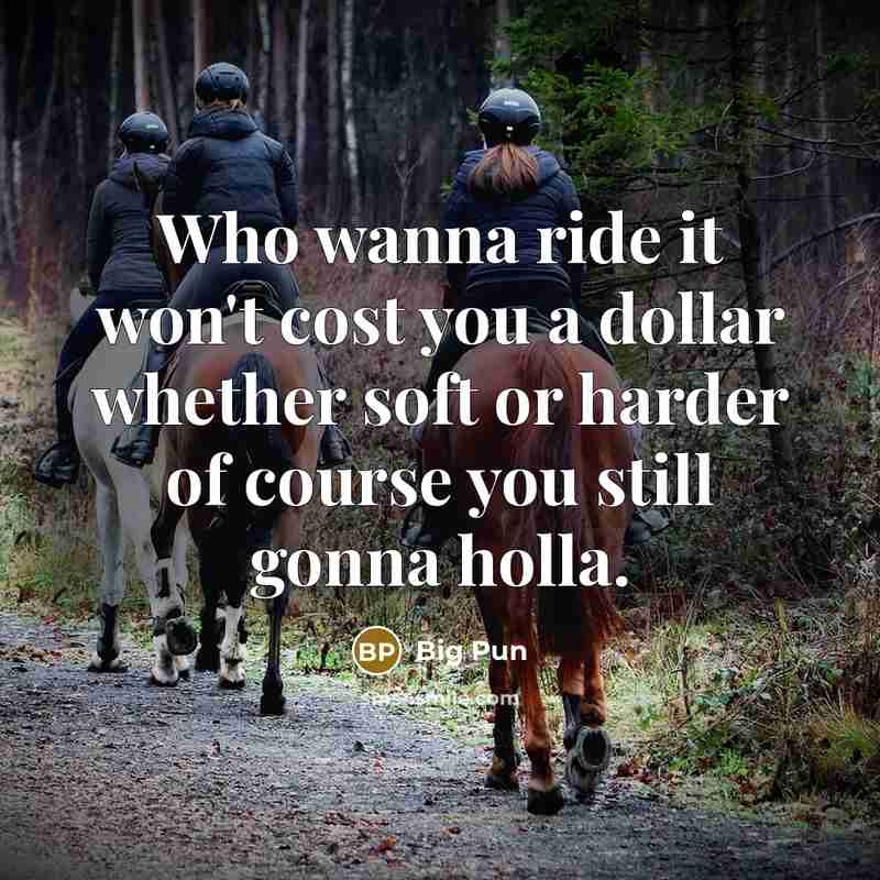 “Who wanna ride it won't cost you a dollar whether soft or harder of course you still gonna holla.” quote by Big Pun
