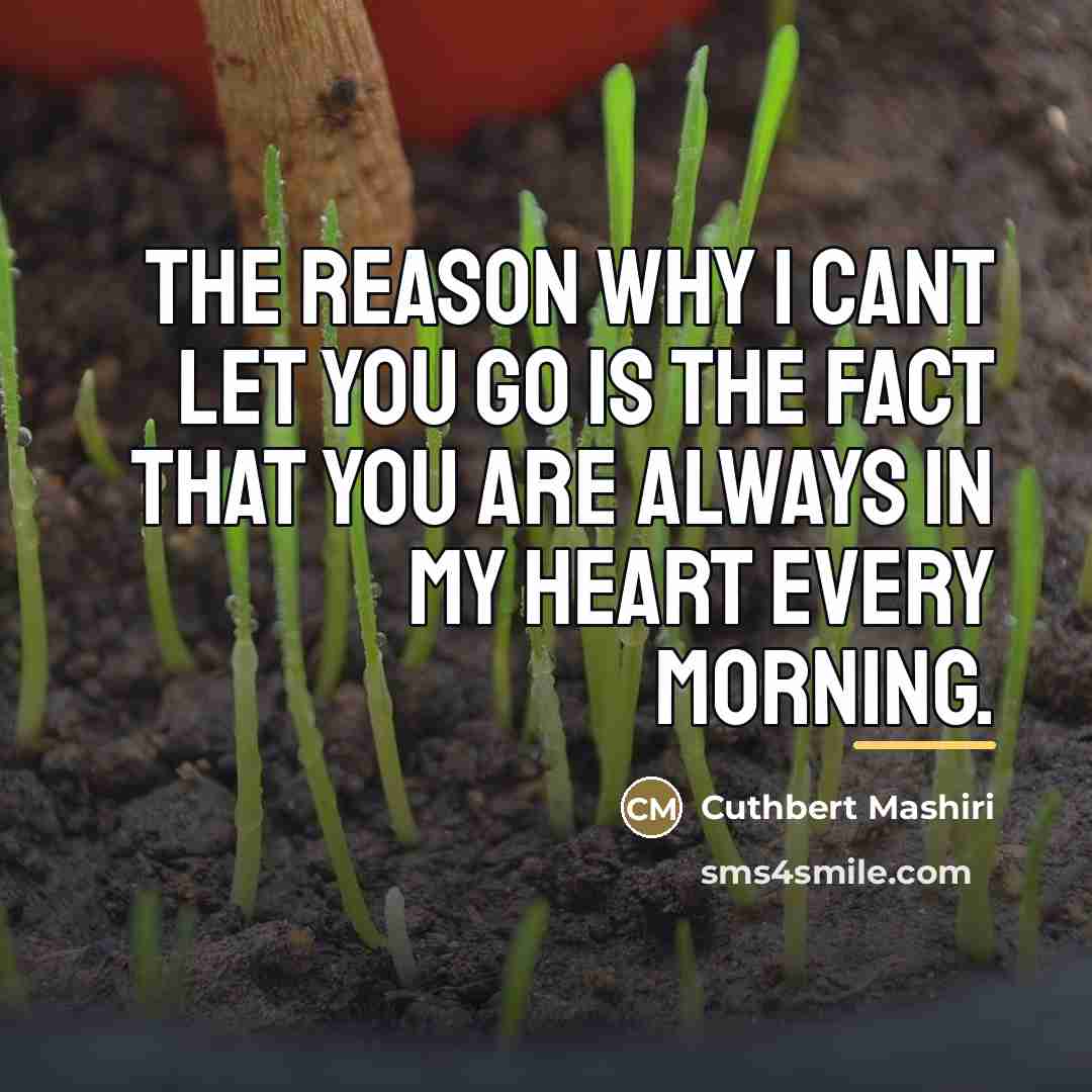 “The reason why I cant let you go is the…” quote by Cuthbert Mashiri