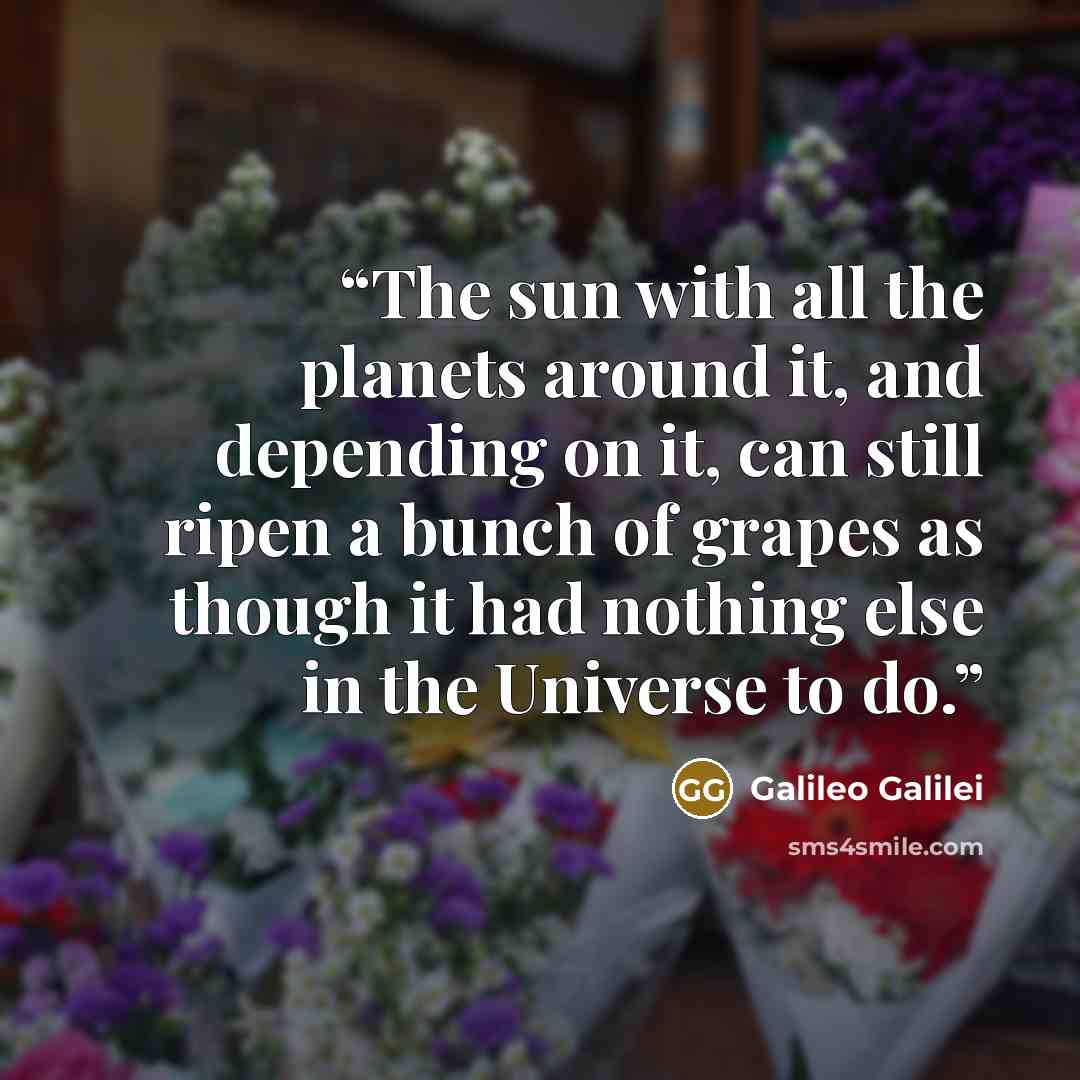 “The sun with all the planets around it, and depending on it, can still ripen a bunch of grapes as though it had nothing else in the Universe to do.” quote by Galileo Galilei