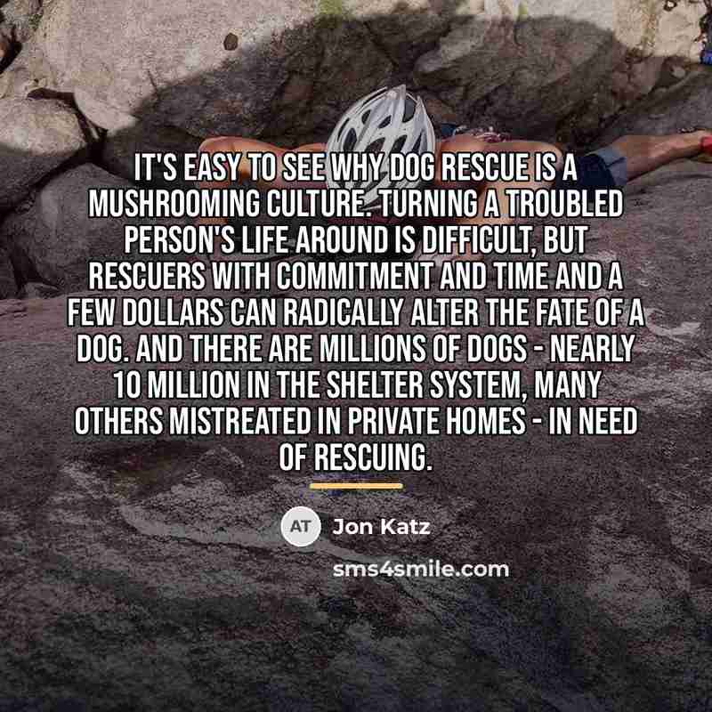 “It's easy to see why dog rescue is a mushrooming…” quote by Jon Katz