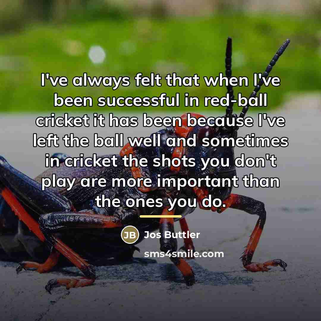 “I've always felt that when I've been successful in red-ball…” quote by Jos Buttler